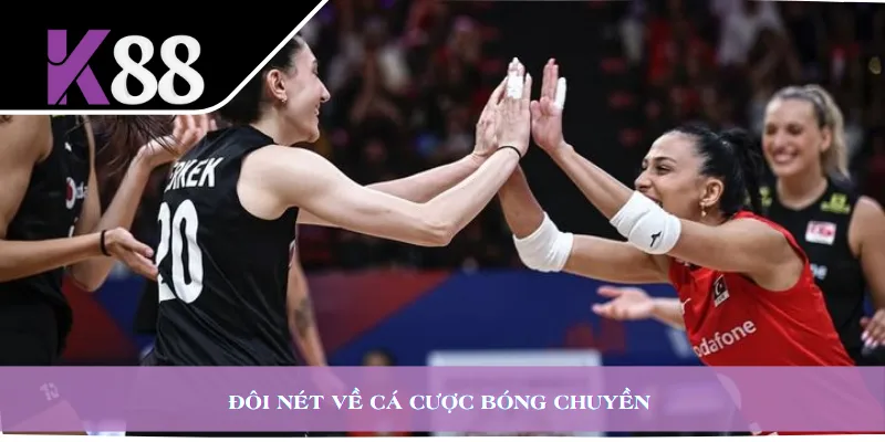 Đôi nét về cá cược bóng chuyền 