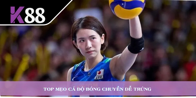 Top mẹo cá độ bóng chuyền dễ trúng 